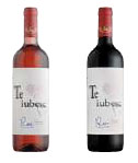 Te Iubesc Mult
